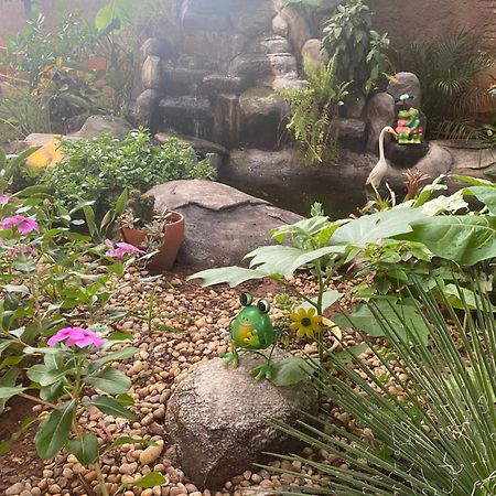 Pousada Girassol Olímpia エクステリア 写真