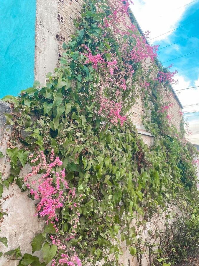 Pousada Girassol Olímpia エクステリア 写真